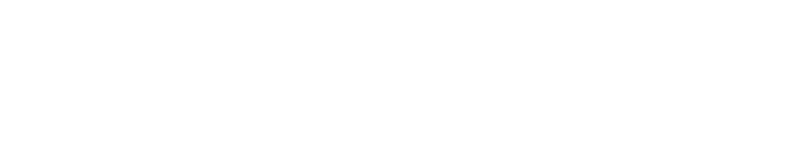 ALP Agency